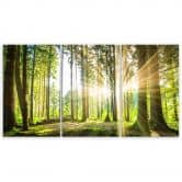 Leinwandbild 3-teilig, Wald Bäume Natur 
