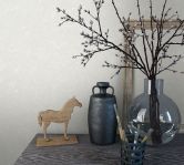 Vliestapete mit textiler Putzoptik beige Struktur  