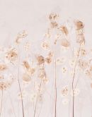 Fototapete Blumen, Blätter Floral Natur, Modern in Beige 