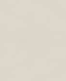 Vliestapete Betonoptik Uni Modern matt in Beige  