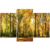 Leinwandbild 3-teilig, Wald Baum Herbst Gelb 