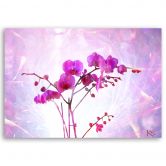 Leinwandbild, Orchidee Blumen Zen Spa 