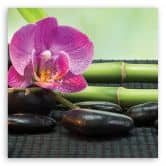Leinwandbild, Orchidee auf schwarzen Steinen 