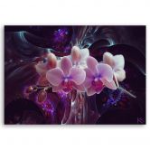 Leinwandbild, Weiße Orchidee  Blumen Pflanzen 