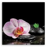 Leinwandbild, Blumen Orchidee Zen Spa 