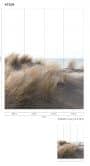 Photo wallpaper with grass by the sea beige,Flower 2,70 x 2,12 m 