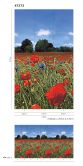 Bloemenweide en blauwe lucht behang Rood, Groen, Bloemig 2.70 x 1.59 m 