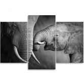 Leinwandbild 3-teilig, Elefant Schwarz und Weiß 