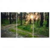 Leinwandbild 3-teilig, Wald Natur Straße Landschaft 