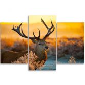 Leinwandbild 3-teilig, Hirsch Tier Sonnenuntergang Natur 