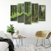 Leinwandbild 5 teilig, Wald Straße Bäume Natur 