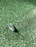 non-woven wallpaper with small shiny leaves green plain by Harald Glööckler 