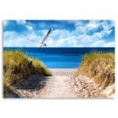 Leinwandbild, Weg zum Strand und eine Möwe 