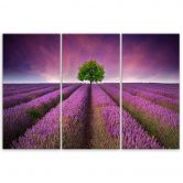 Leinwandbild 3-teilig, Lila Blumenwiese 