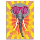 Canvasbillede, Elefant med briller 