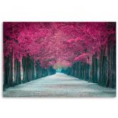 Leinwandbild, Avenue von rosa Bäumen 