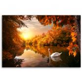 Leinwandbild, Schwan auf dem Teichherbst 