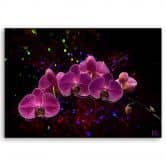 Leinwandbild, Orchidee Rosa Blumen Spa 