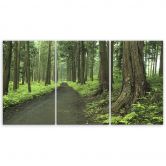 Leinwandbild 3-teilig, Wald Straße Bäume Natur 