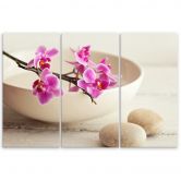 Leinwandbild 3-teilig, Orchid Bowl Blumen Beige 