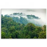 Leinwandbild, Wald im Nebel Landschaft 