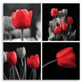 Leinwandbild, Rote Tulpen Blumen 