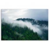 Leinwandbild, Wald im Nebel 