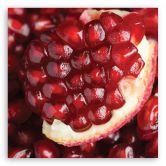 Tableau sur toile, Macro - fruit bleu marine 