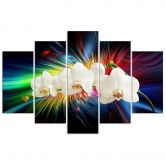 Leinwandbild 5 teilig, Bunte Orchidee 