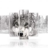 Wandbild 5-teilig, Wolf Wald Tier Grau 