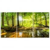 Leinwandbild 3-teilig, Waldsee Natur 