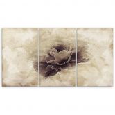 Leinwandbild 3-teilig, Rose Flower Vintage Beige 