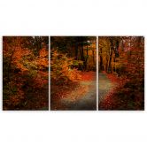 Leinwandbild 3-teilig, Wald Herbstblätter Natur 