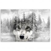 Leinwandbild 3-teilig, Wolf Wald Natur Grau 