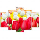 5-delige canvas print tulp rood wit 