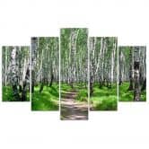 Leinwandbild 5 teilig, Birkenwald Natur 