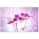 Leinwandbild 3 teilig, Essentielle Orchidee 