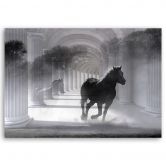 Leinwandbild, Pferd im Galopp 3D Tunnel 