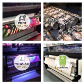 Fototapete, Für Junge Gorilla wie handgemalt 
