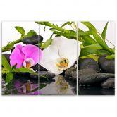 Leinwandbild 3-teilig, Zen Blumen Bambus Stein 