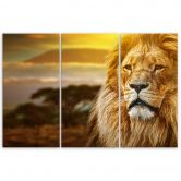 Leinwandbild 3-teilig, Löwe Afrika Savanne Landschaft 