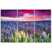 Leinwandbild 3-teilig, Blumenwiese Lavendel Landschaft 