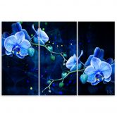 Leinwandbild 3 teilig, Blaue Orchideenblume 
