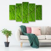 Leinwandbild 5 teilig, Grünes Laub Natur 