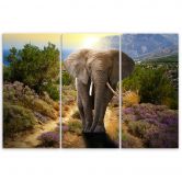 Leinwandbild 3-teilig, Elefanten-Safari Afrika Wildtiere 