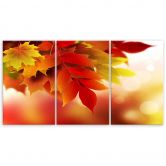 Leinwandbild 3-teilig, Herbstblätter Natur 