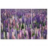 Leinwandbild 3-teilig, Lila Blumen Natur Wiese 
