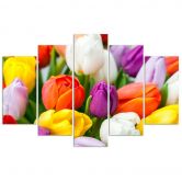 Leinwandbild 5 teilig, Bunte Tulpen Blumen 