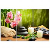 Leinwandbild 3-teilig, Zen-Steine Blumen 