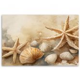 Leinwandbild Meeresmuscheln und Seesterne Acryl 